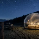 Nuit bulle Rhône-Alpes : bulle transparente, ciel étoilé, forêt